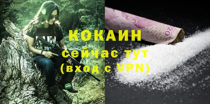 COCAIN Fish Scale  Грязи 