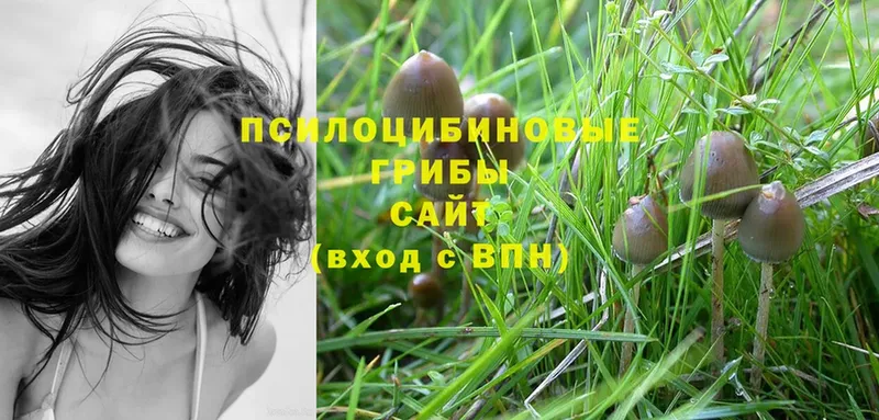 МЕГА ONION  Грязи  Псилоцибиновые грибы Magic Shrooms  хочу  